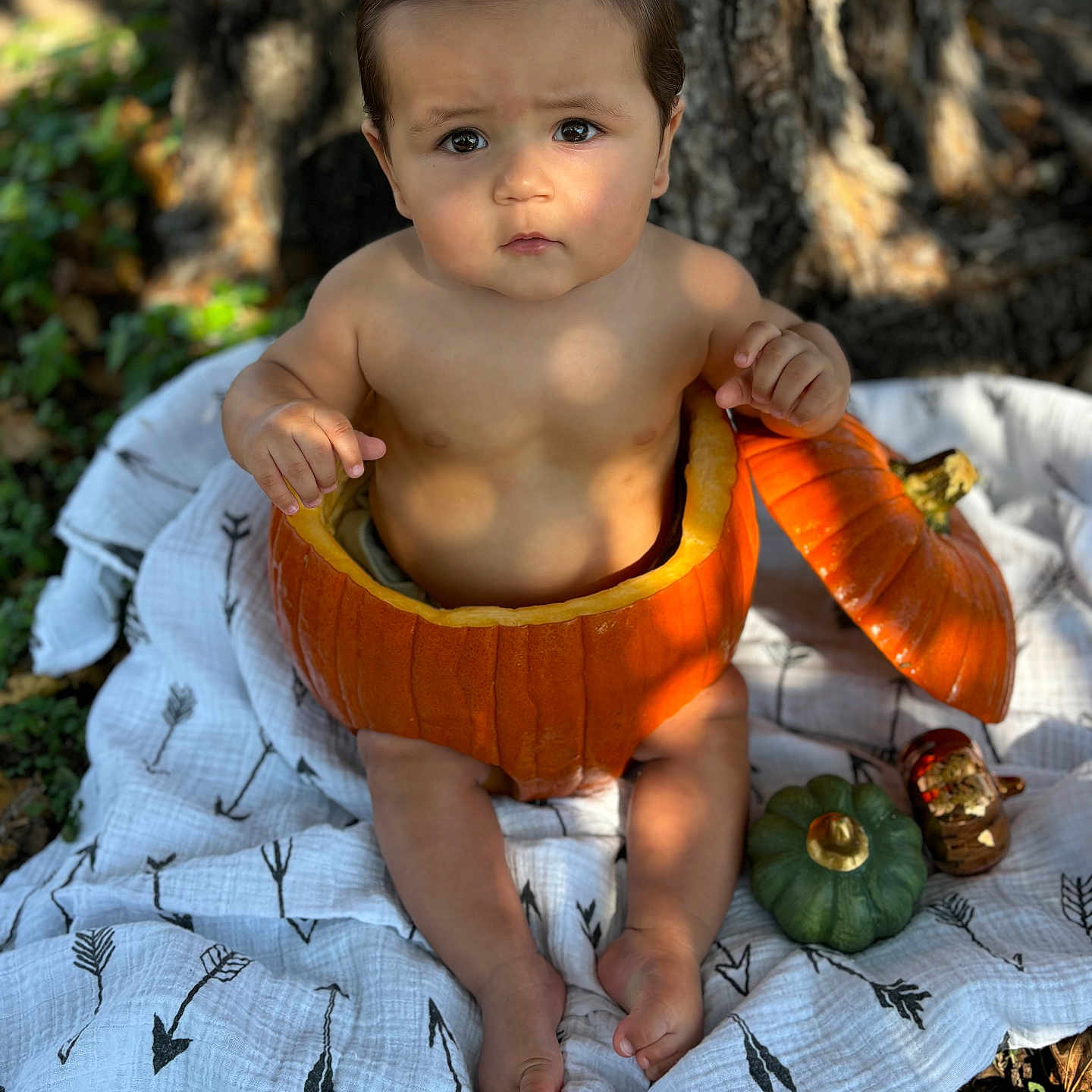 Cody is registered to the contest to win money with this photo: baby, bodypart, clothing, dress, face, finger, food, grass, hand, happy, head, person, photography, plant, portrait, produce, pumpkin, sitting, squash, vegetable