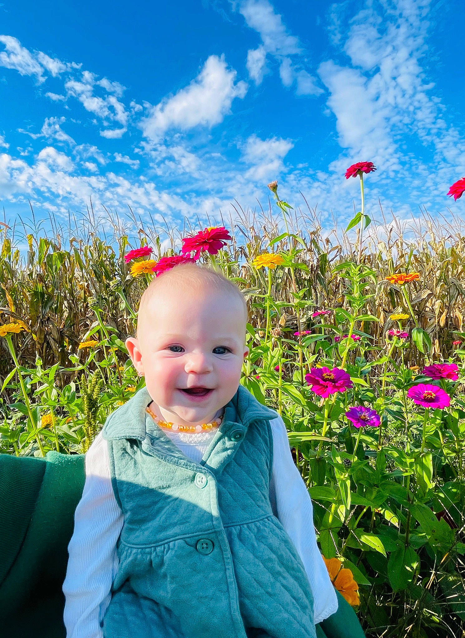 Aspen is registered to the contest to win money with this photo: baby_toddler_clothing, beauty, cloud, electric_blue, flower, grass, grassland, green, happy, meadow, morning, natural_landscape, people_in_nature, person, petal, plant, prairie, sky, smile, toddler