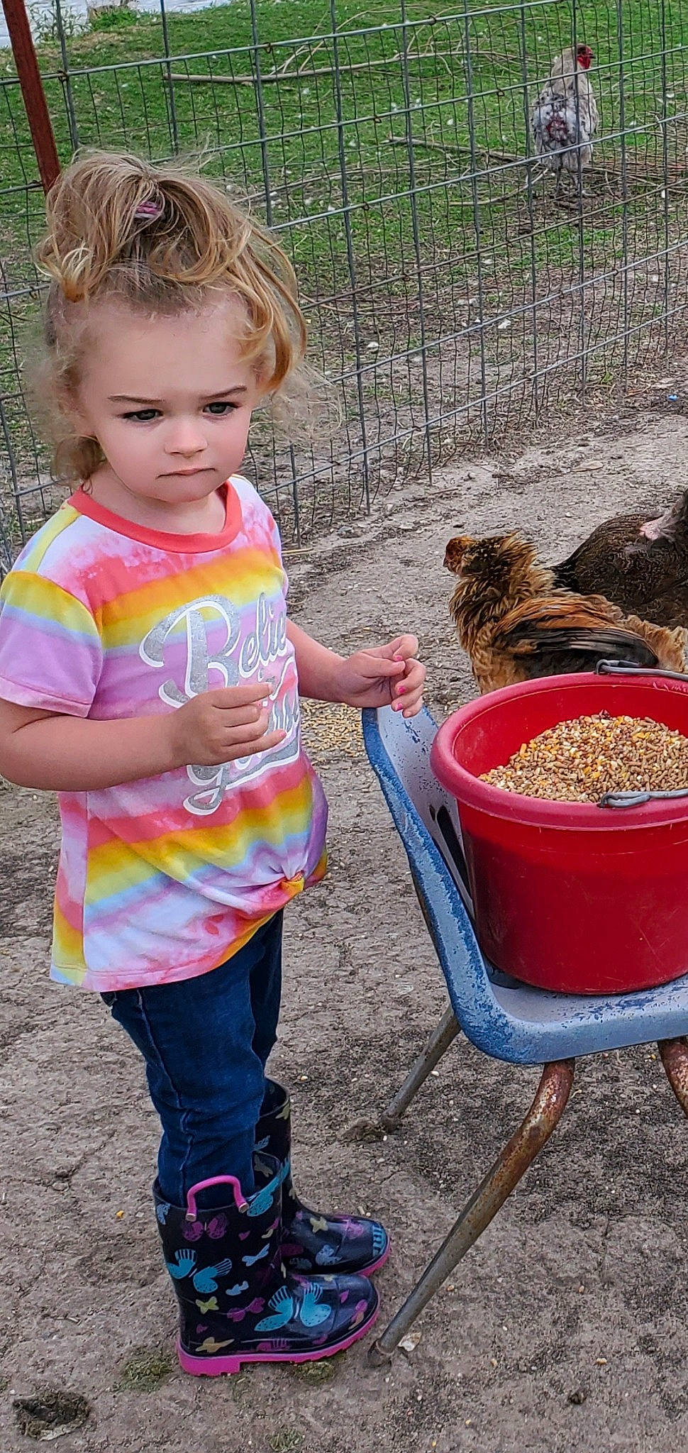 Charley is registered to the contest to win money with this photo: adaptation, animal_feed, baby_toddler_clothing, child, fence, fun, grass, leisure, natural_foods, person, pet_food, pet_supply, photograph, pink, play, snapshot, soil, summer, t_shirt, toddler