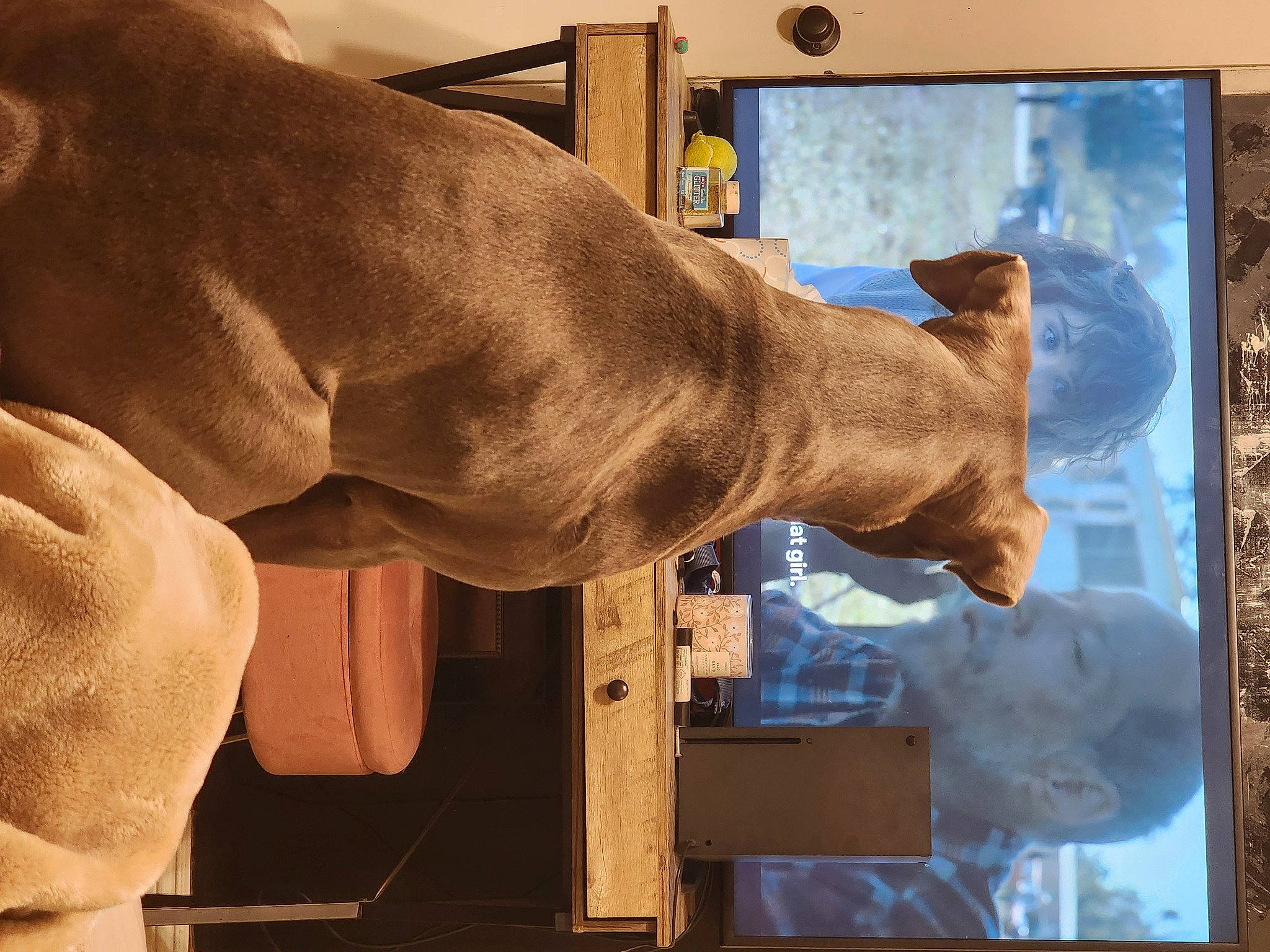 Rocco joined the competition — help win amazing prizes! art, chest, display_device, ear, elbow, fawn, gesture, giraffe, giraffidae, human_leg, liver, snout, terrestrial_animal, visual_arts, wildlife, window, wood, working_animal, wrist