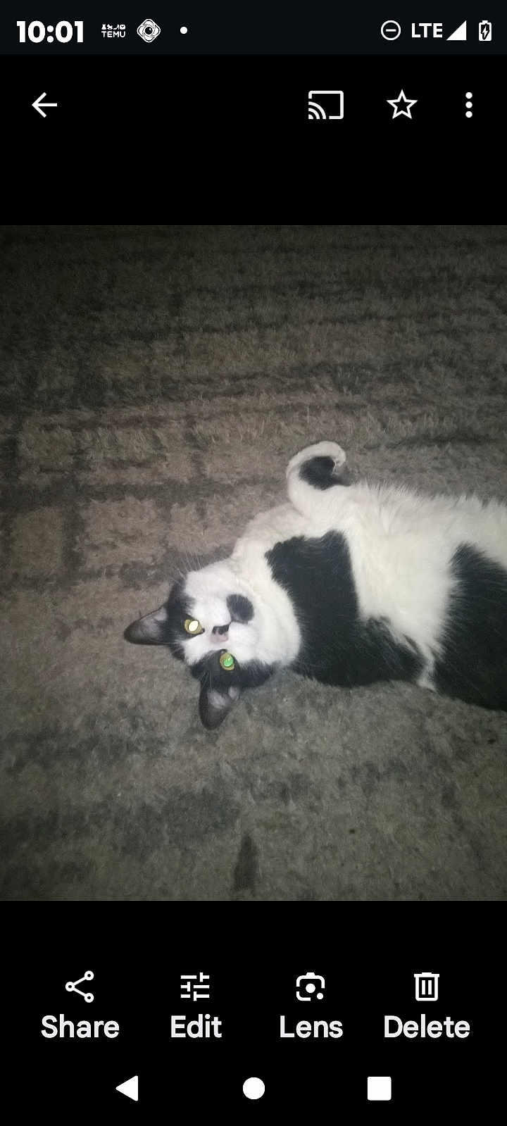 Moxie