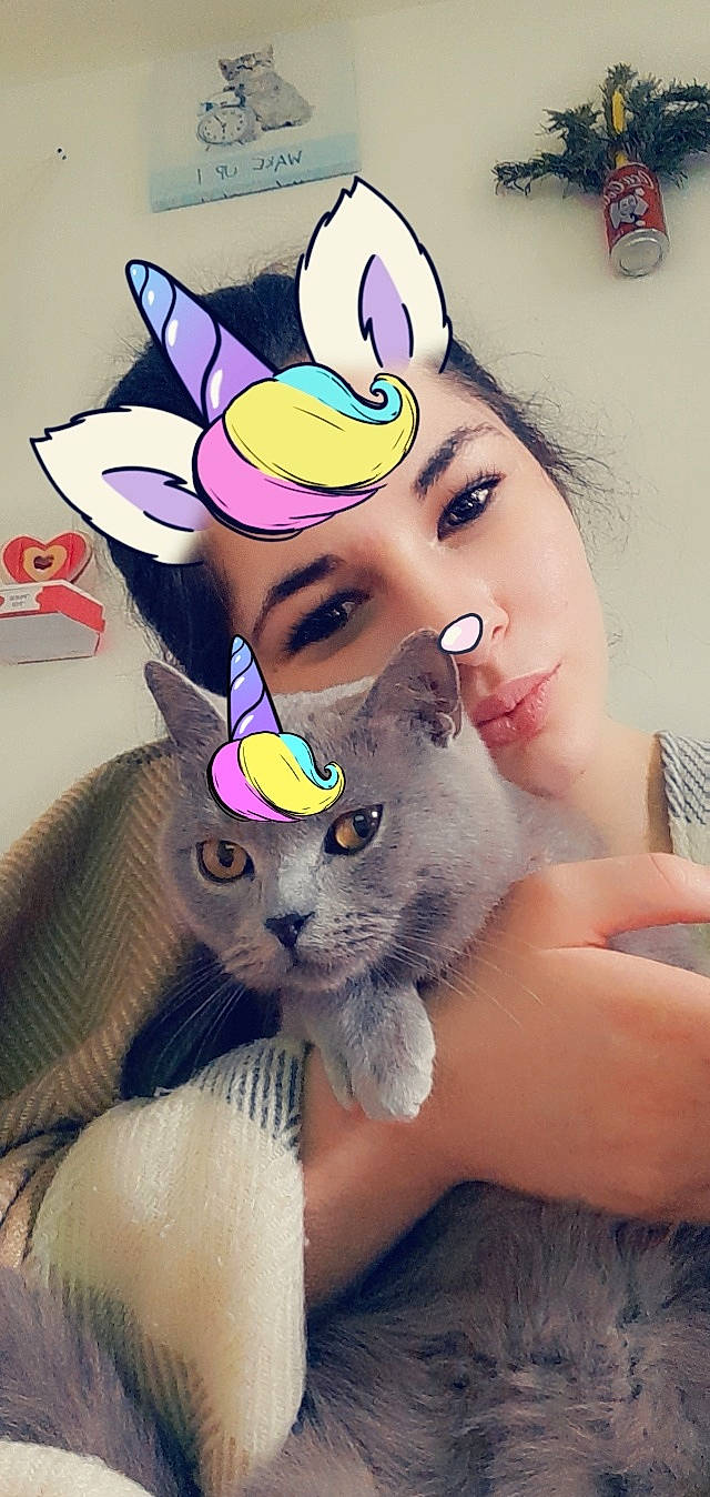 Gribouille participe au concours pour gagner de l'argent avec cette photo : art, cap, carnivore, cat, costume_hat, ear, eyebrow, eyelash, fawn, felidae, finger, gesture, hand, happy, iris, nose, pink, purple, small_to_medium_sized_cats, whiskers