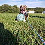 dog, grass, ball, leash, outdoor, sunny, sky, field, happy, tongue, pet, nature, daytime, playful, animal, greenery, summer, canine, closeup, background