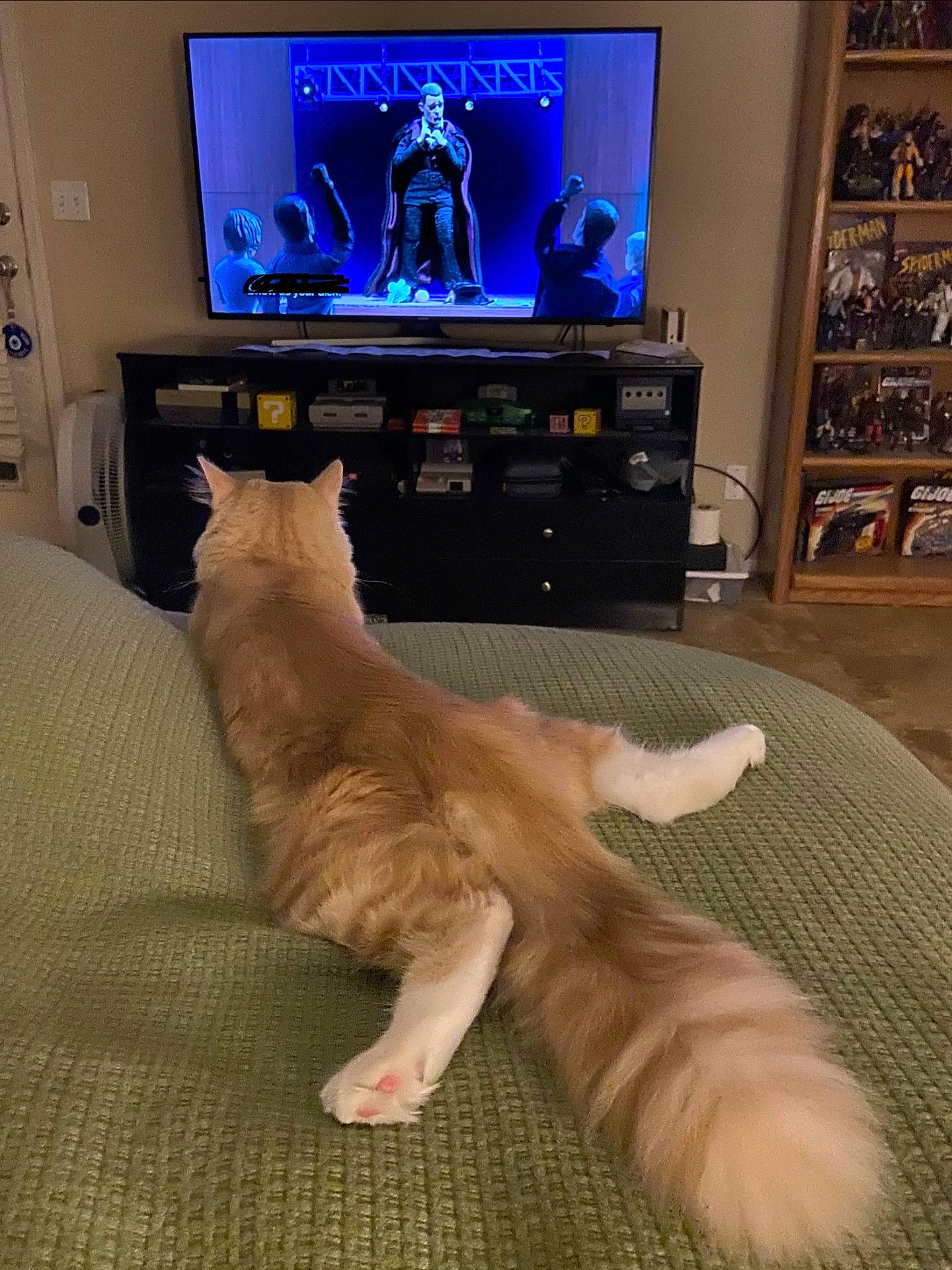 Nucky joined the competition — help win amazing prizes! animal, blanket, cat, collectibles, cozy, entertainment_center, fluffy_tail, furniture, gaming_consoles, home_decor, indoor, living_room, nostalgic, orange_cat, pet, relaxed, retro, shelf, television, watching_tv
