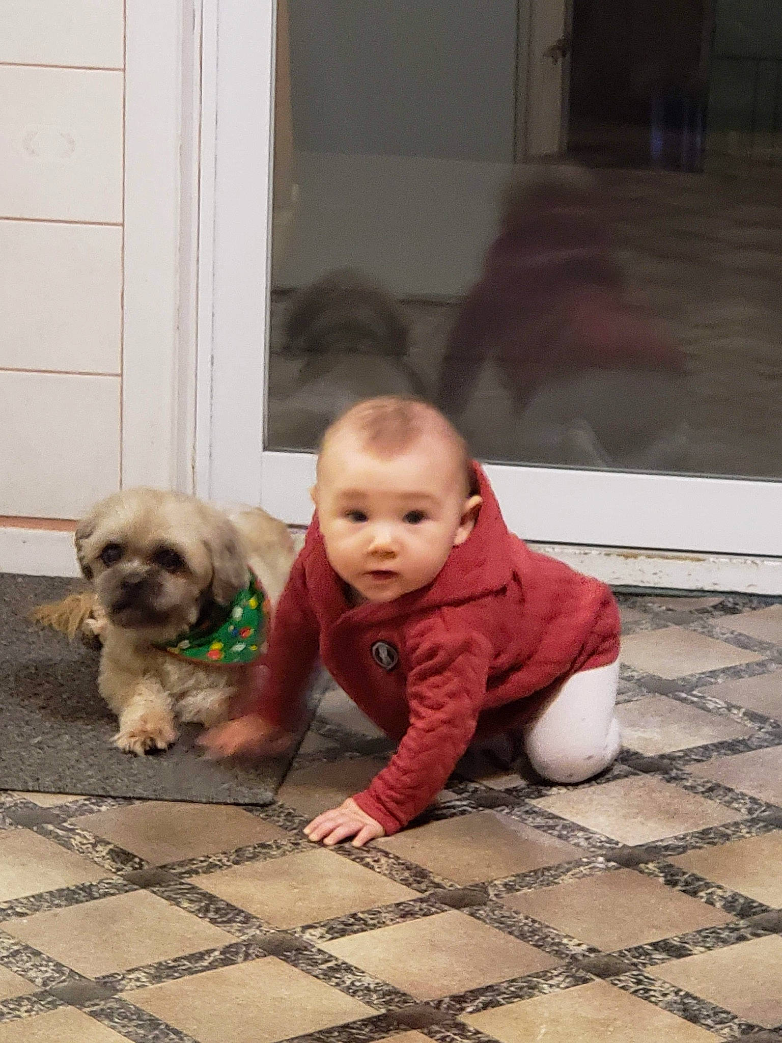 Alyssa Lambert participe au concours pour gagner de l'argent avec cette photo : baby, baby_toddler_clothing, carnivore, child, companion_dog, crawling, dog, dog_breed, door, fawn, floor, flooring, hardwood, person, sitting, skin, smile, toddler, toy_dog, wood