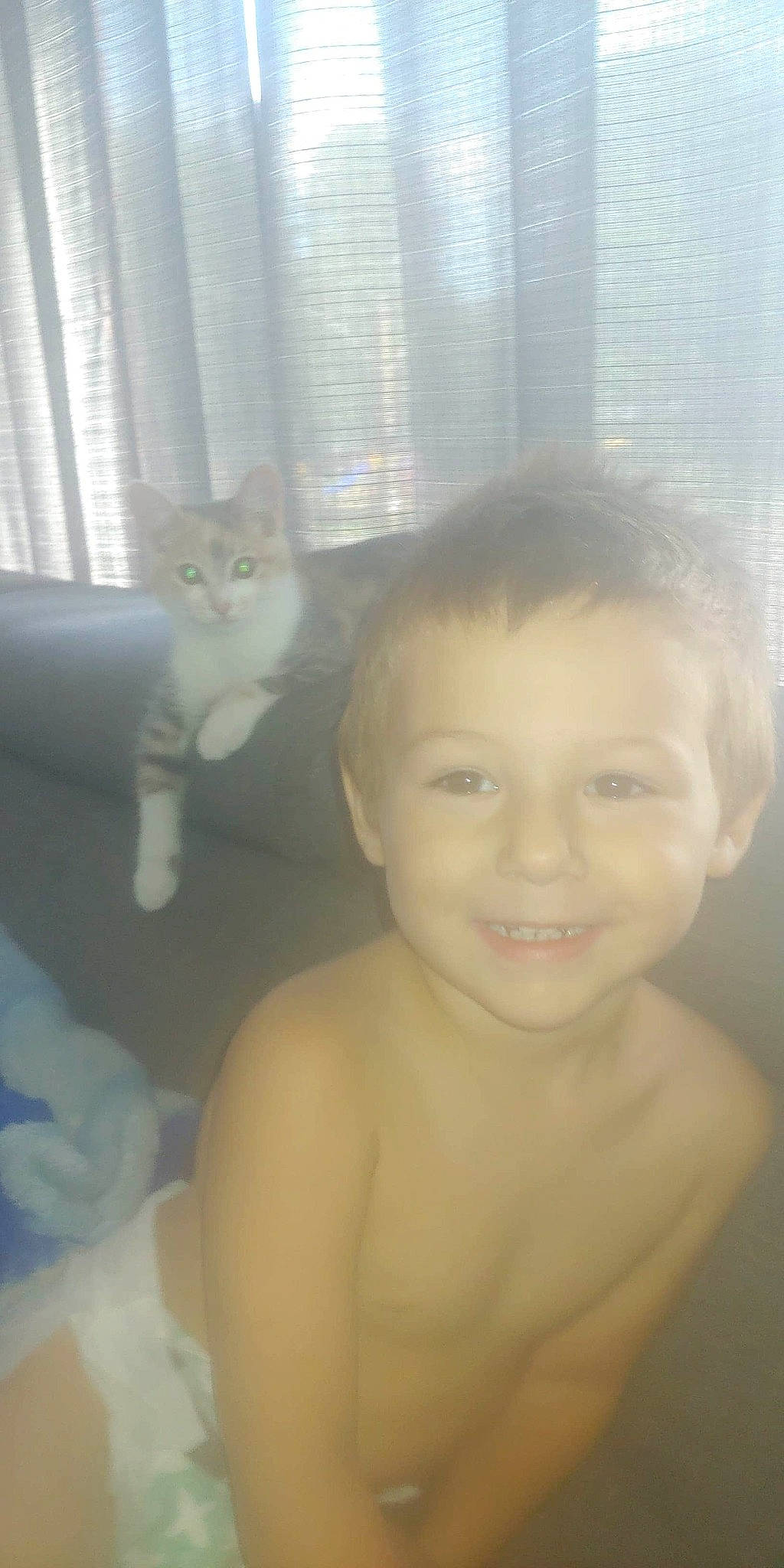 Lucas Lambert participe au concours pour gagner de l'argent avec cette photo : abdomen, arm, barechested, carnivore, cat, chest, eyebrow, felidae, happy, iris, joy, lip, nose, person, skin, small_to_medium_sized_cats, smile, tail, thumb, toddler