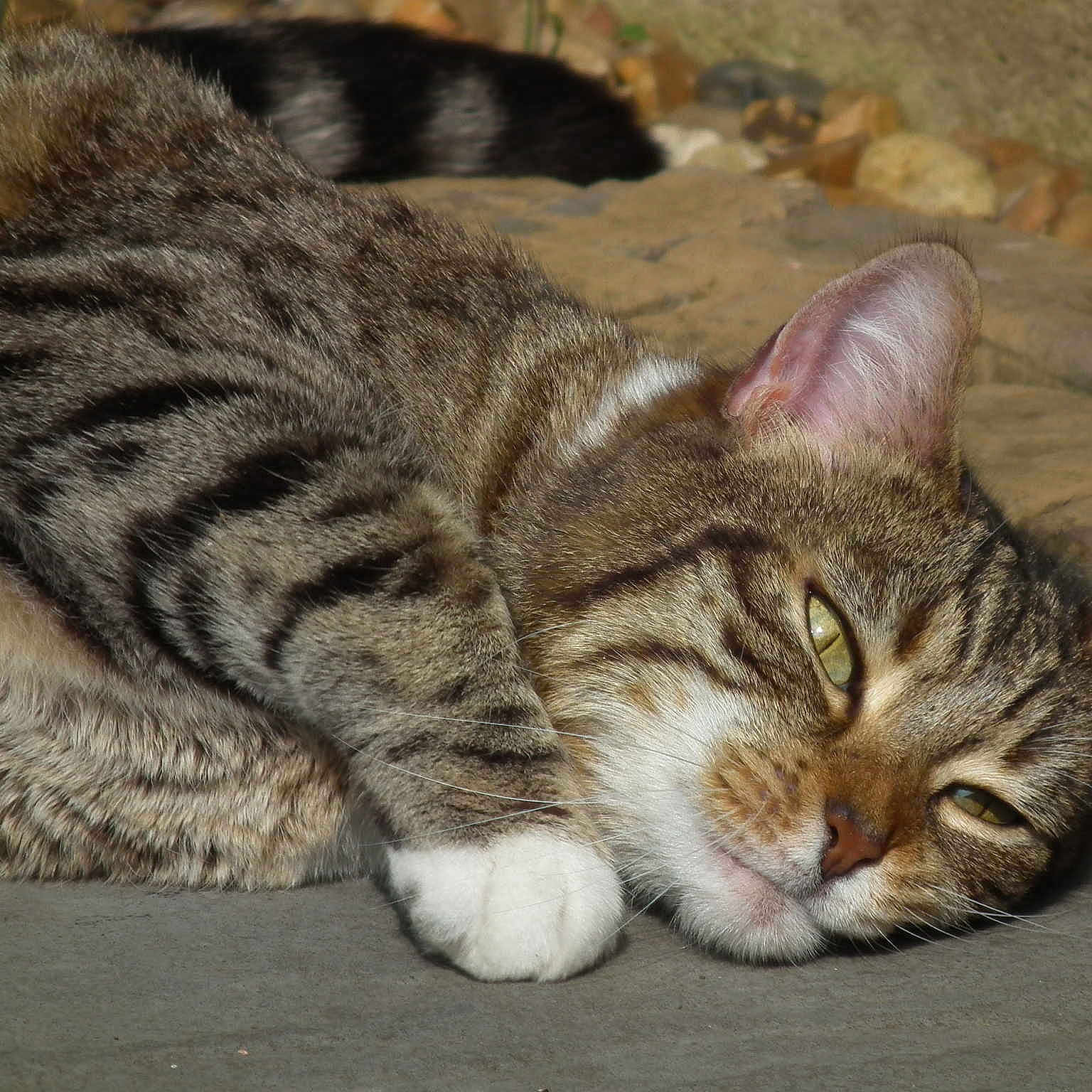 Clea joined the competition — help win amazing prizes!