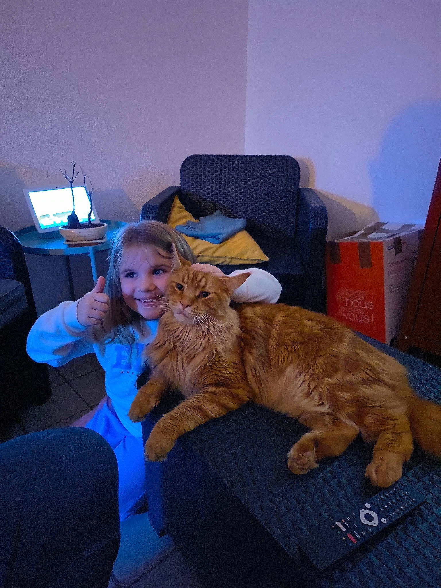 Jeanne participe au concours pour gagner de l'argent avec cette photo : carnivore, cat, comfort, companion_dog, dog_breed, domestic_short_haired_cat, fawn, felidae, flooring, fun, fur, human_leg, joy, lap, living_room, person, room, sitting, small_to_medium_sized_cats, smile