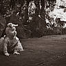 baby, child, crawling, garden, outdoors, portrait, sepia, vintage, bow, dress, infant, face, smiling, curious, rocks, pathway, trees, plants, nature, photography