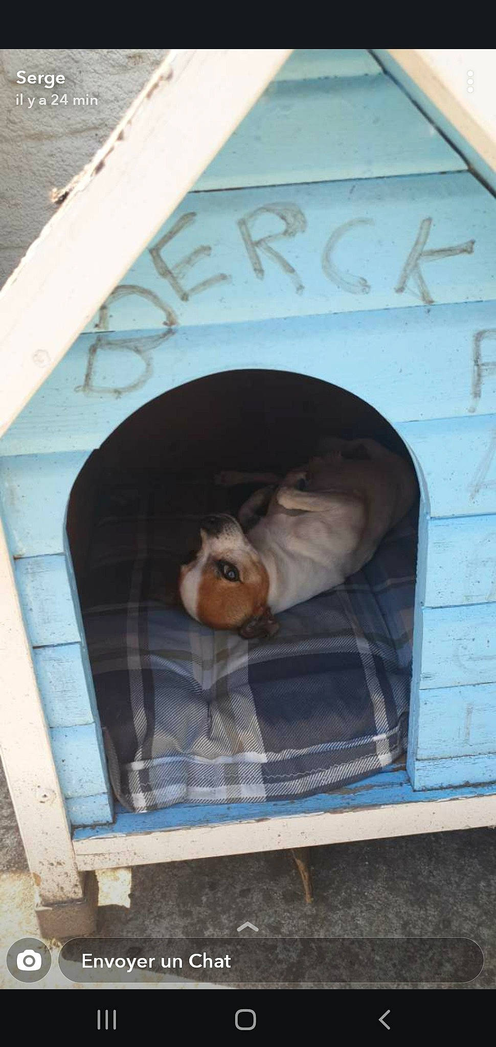 Hobby a rejoint le concours — aidez-le/la à gagner de superbes lots ! animal_shelter, canidae, dog_supply, doghouse, kennel, pet_supply