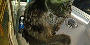 Egone participe au concours pour gagner de l'argent avec cette photo :