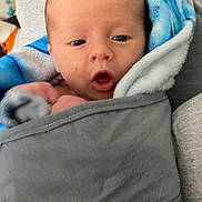 Niklaus joined the competition — help win amazing prizes! baby, infant, blanket, wrapped, cozy, soft, blue, gray, face, expression, curious, indoors, child, person, newborn, warm, comfort, portrait, closeup, cuddle