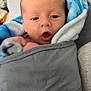 baby, infant, blanket, wrapped, cozy, soft, blue, gray, face, expression, curious, indoors, child, person, newborn, warm, comfort, portrait, closeup, cuddle