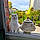 Cat Orze