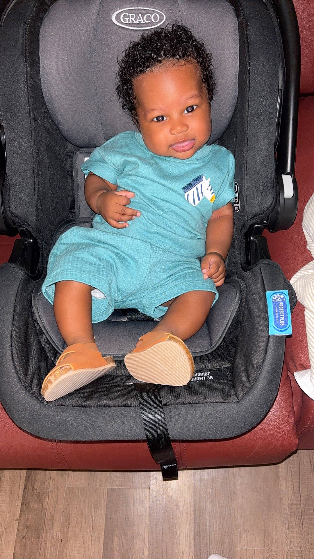 baby, car_seat, child, curly_hair, cute, graco, indoor, infant, leather_couch, person, portrait, shoes, shorts, sitting, smiling, tan_shoes, teal_clothing, tshirt, wood_floor, zebra_patch