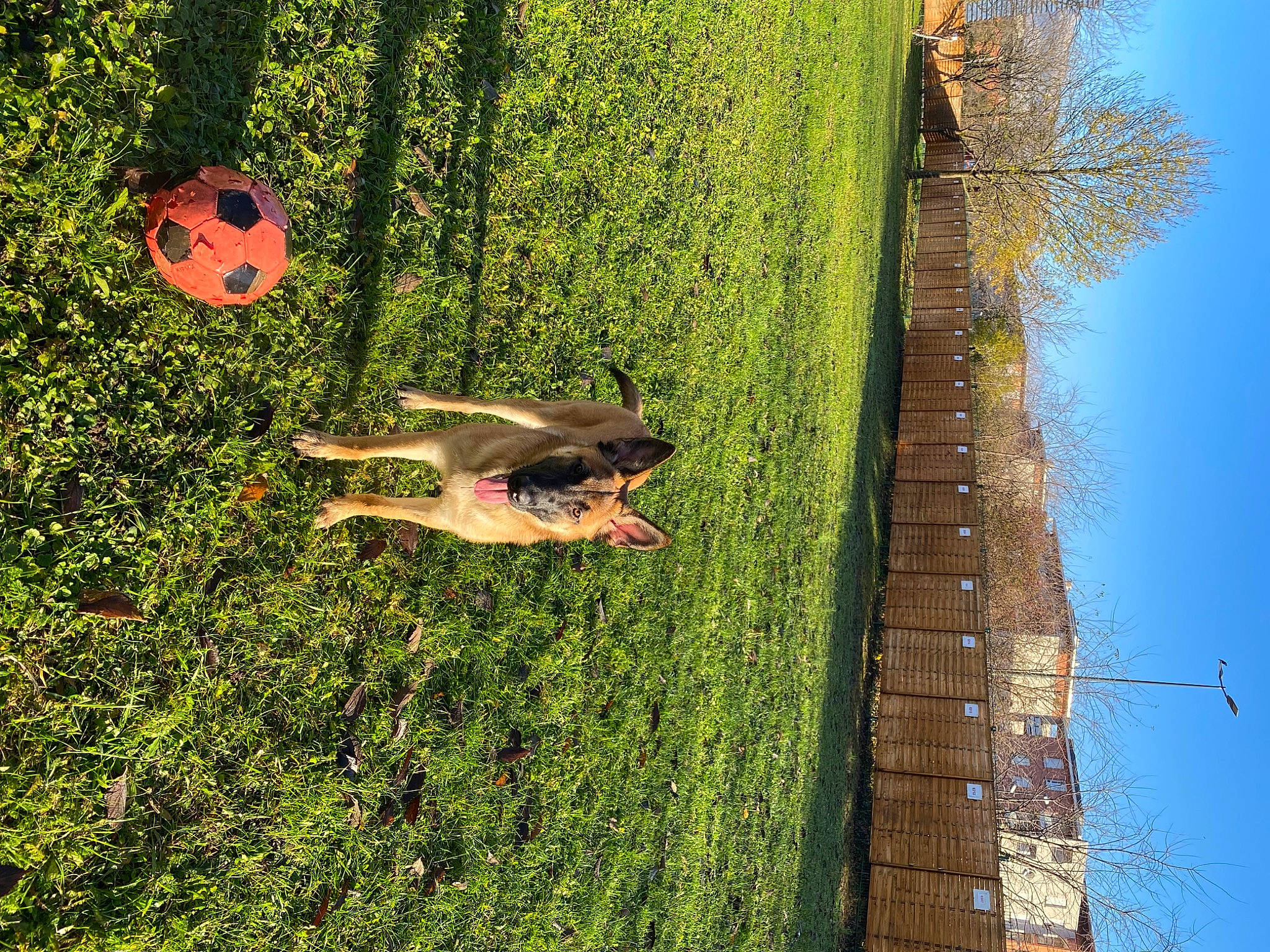 Bulma a rejoint le concours — aidez-le/la à gagner de superbes lots ! adaptation, biome, branch, grass, grass_family, landscape, lawn, leisure, organism, people_in_nature, plant, shrub, sky, tints_and_shades, tree, trunk, vegetation, water, wood, woody_plant