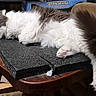 Pepper is registered to the contest to win money with this photo: cat, sleeping, fluffy, indoor, table, wooden_table, foam_mat, tail, cozy, furniture, pet, relaxing, fur, paw, chair, household_items, resting, pink_nose, domestic_animal, tabby
