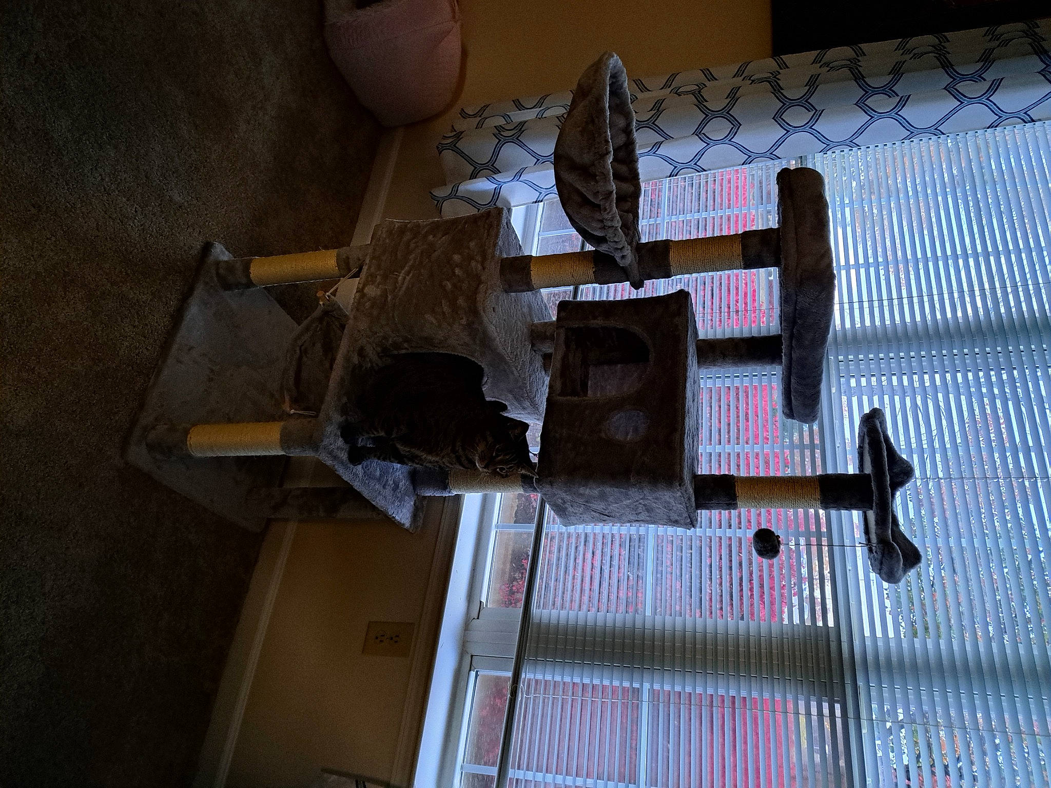 Faith joined the competition — help win amazing prizes! art, carmine, composite_material, engineering, flooring, hardwood, machine, metal, plywood, room, shadow, space, visual_arts, wood