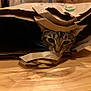 Armie is registered to the contest to win money with this photo: cat, tabby, paper_bag, wooden_floor, pet, animal, curious, whiskers, ears, face, indoor, playful, hiding, brown, striped, cute, domestic_cat, feline, closeup, shadow