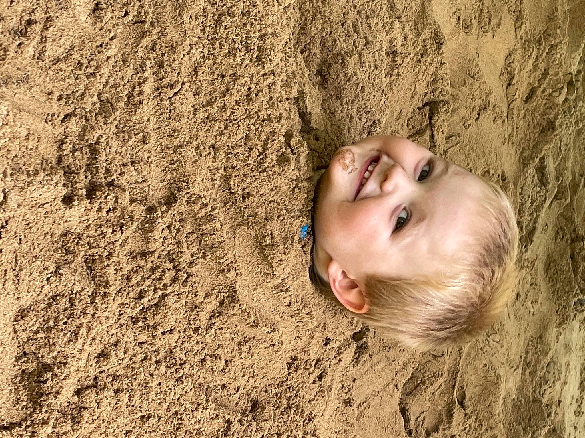 Jonah is registered to the contest to win money with this photo: agriculture, eye, face, field, flash_photography, fun, grass, grass_family, happy, head, human_body, joy, landscape, lip, long_hair, nose, people_in_nature, person, plant, tree