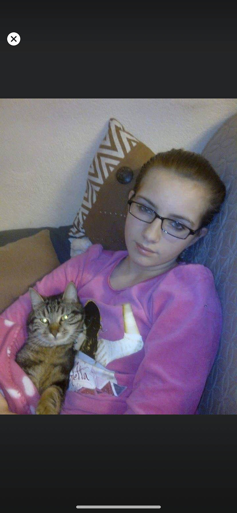 Max participe au concours pour gagner de l'argent avec cette photo : american_curl, asian, carnivore, cat, domestic_short_haired_cat, ear, fawn, felidae, kitten, small_to_medium_sized_cats, tabby_cat, whiskers