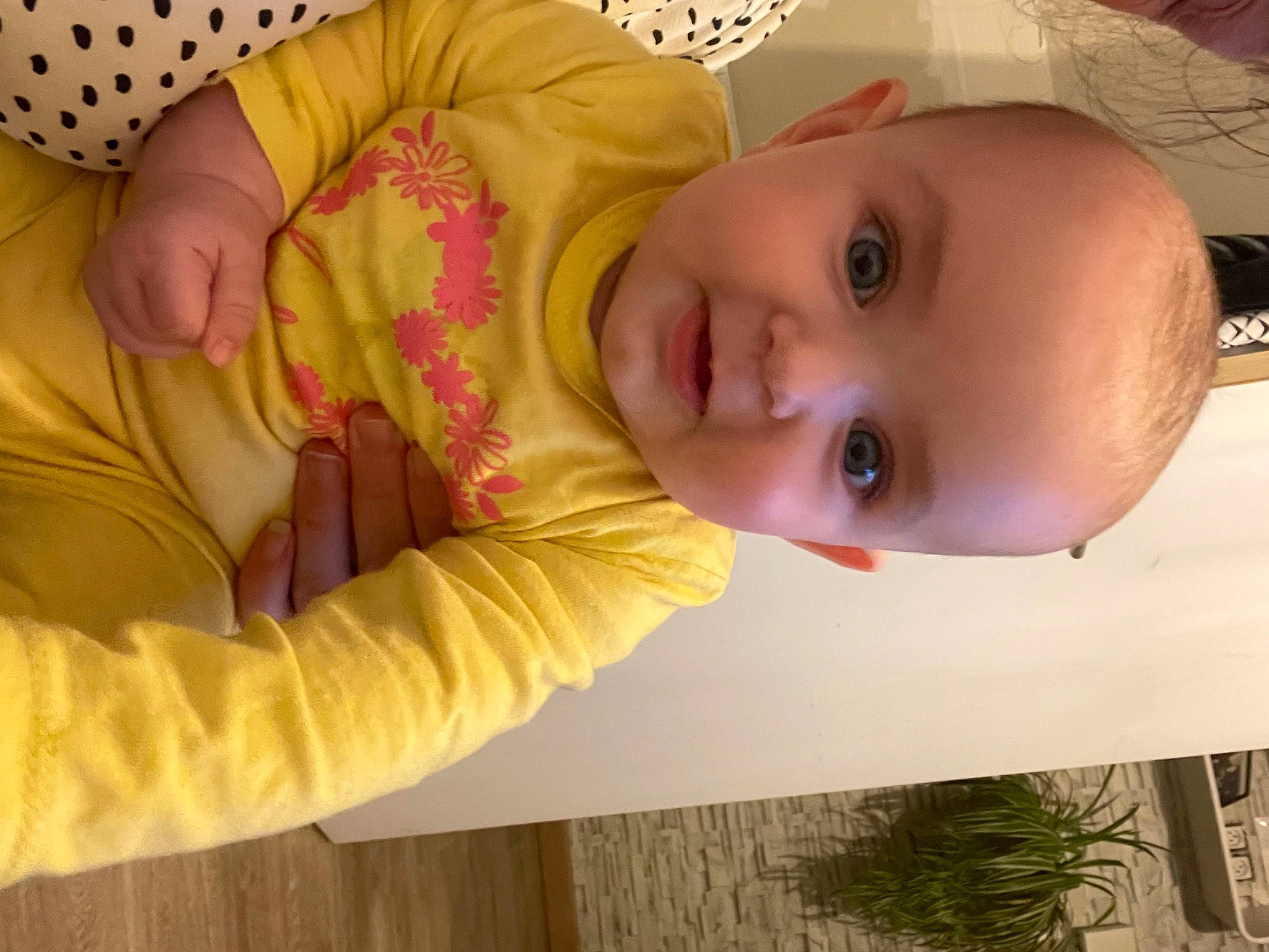 Lilia participe au concours pour gagner de l'argent avec cette photo : baby, baby_toddler_clothing, cheek, comfort, eyebrow, eyelash, fun, happy, human_body, iris, lip, mouth, nose, person, plant, skin, sleeve, smile, toddler, white