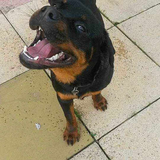 Kaizer joined the competition — help win amazing prizes!