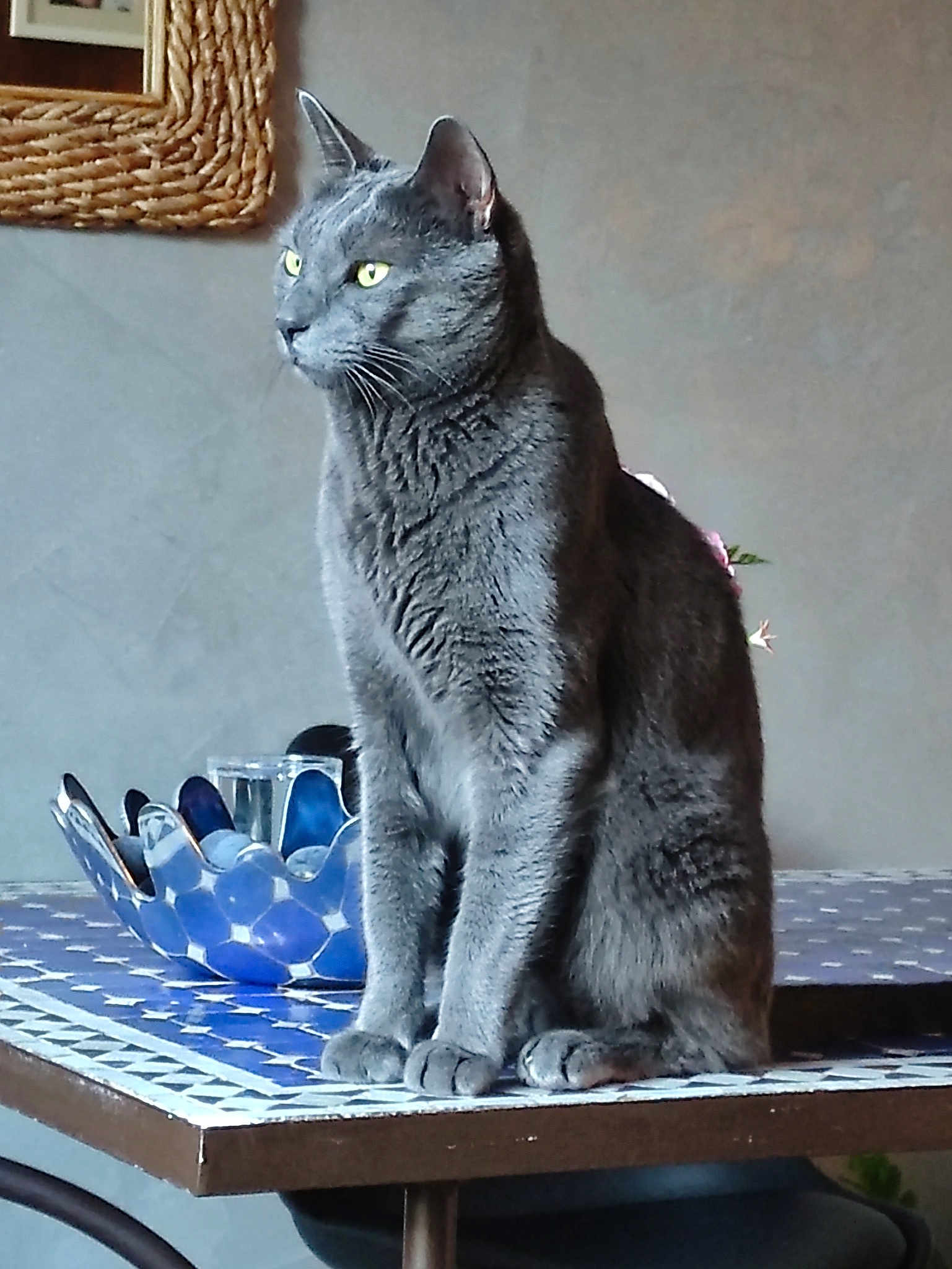 Oscar