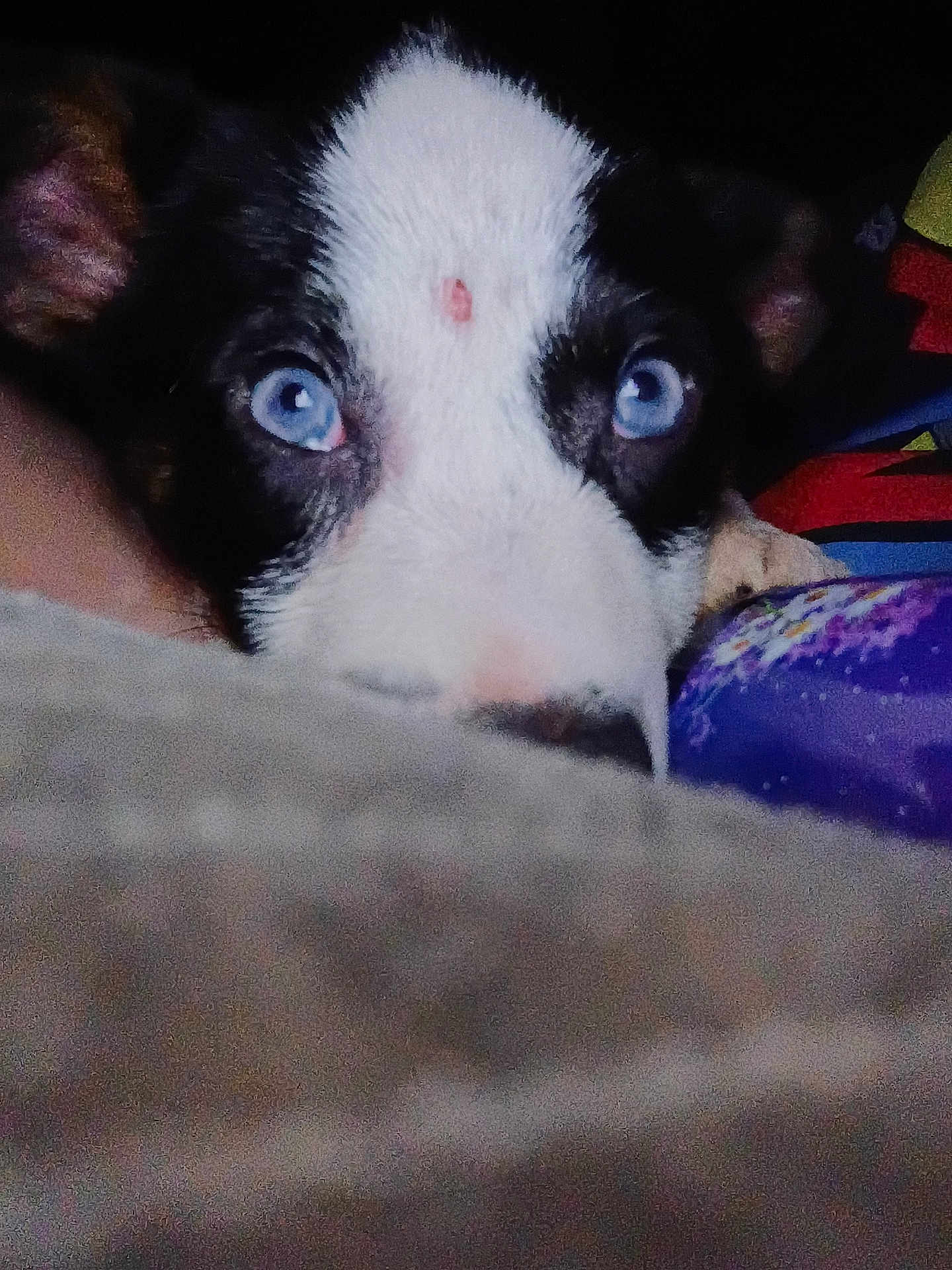 Blue