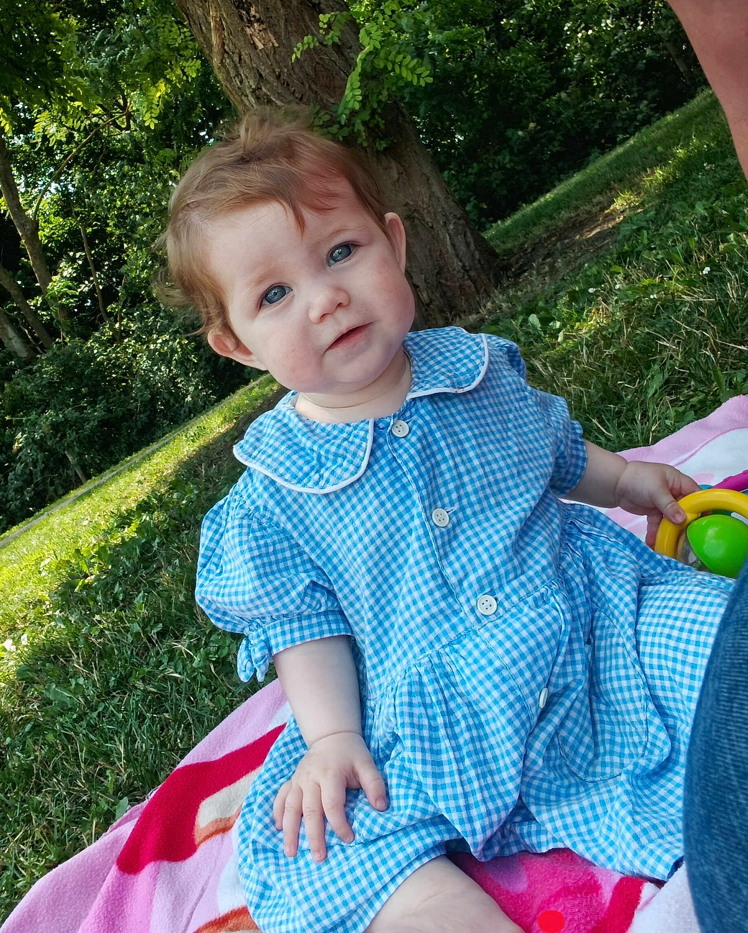 Aria a rejoint le concours — aidez-le/la à gagner de superbes lots ! baby, child, blue_eyes, blue_dress, gingham_pattern, toy, blanket, outdoor, grass, tree, nature, sunlight, playtime, cute, portrait, sitting, person, smile, greenery, daylight