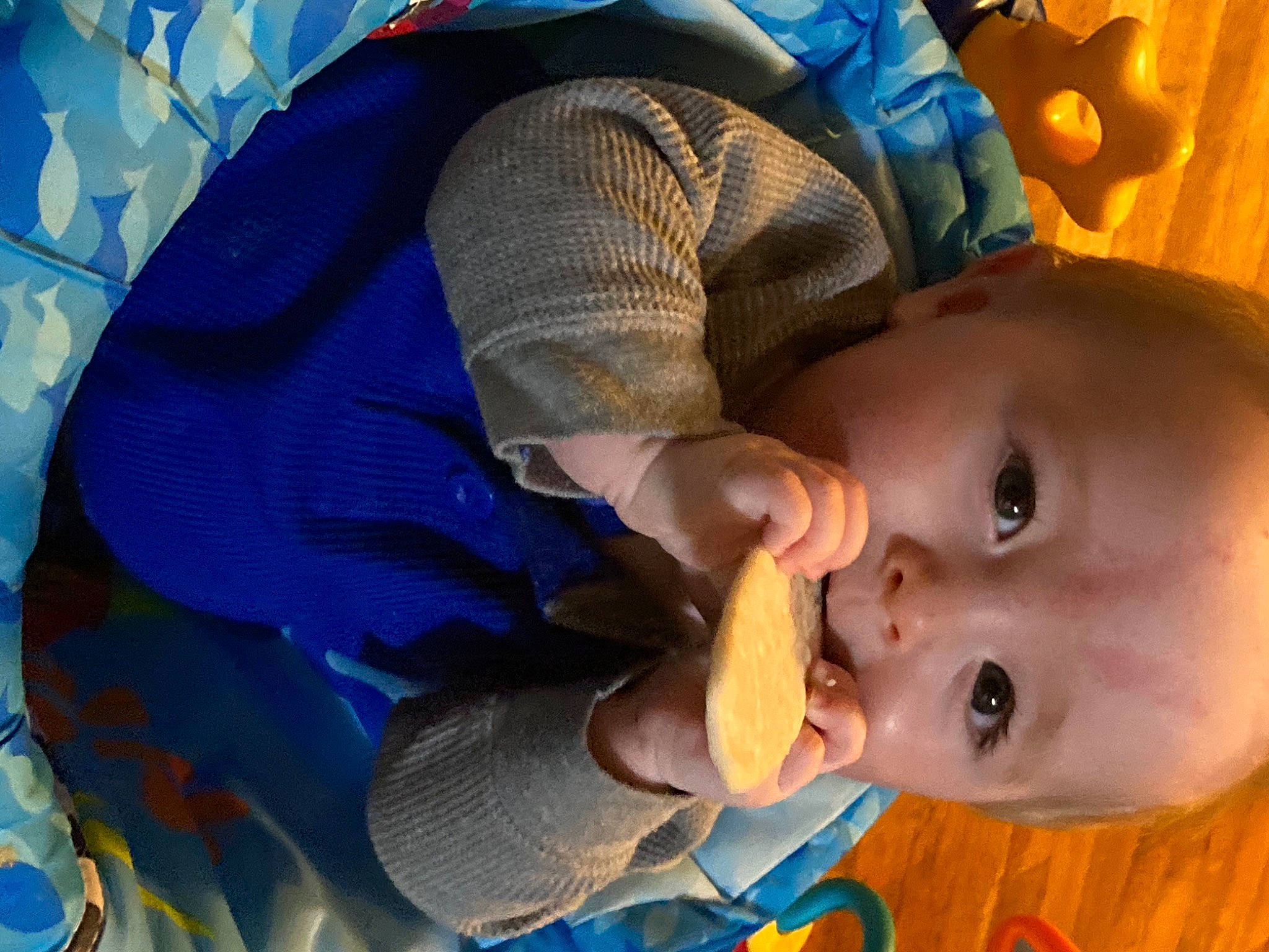 Cj is registered to the contest to win money with this photo: arm, baby, baby_toddler_clothing, blue, cheek, ear, eye, facial_expression, hairstyle, hand, head, human_body, iris, lip, mouth, nose, person, skin, smile, tableware