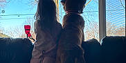Pretzel is registered to the contest to win money with this photo: animal, back_view, blue_sky, child, collar, companionship, couch, daylight, dog, home, human, indoor, looking_outside, pajamas, pet, quiet, relaxing, silhouette, tree, window