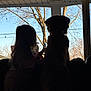 Pretzel joined the competition — help win amazing prizes! backlit, calm, child, companionship, couch, dog, friendship, furniture, home, indoor, nature, pet, quiet, relaxation, shadow, silhouette, sky, tree, window, winter