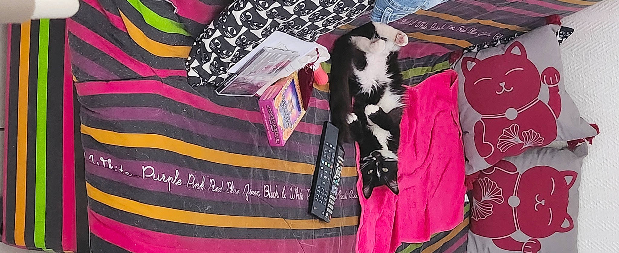 Oreo a rejoint le concours — aidez-le/la à gagner de superbes lots ! art, black, carmine, fashion_accessory, fashion_design, font, formal_wear, fur, linens, magenta, outerwear, pattern, pink, purple, rectangle, sleeve, suit, t_shirt, textile, visual_arts