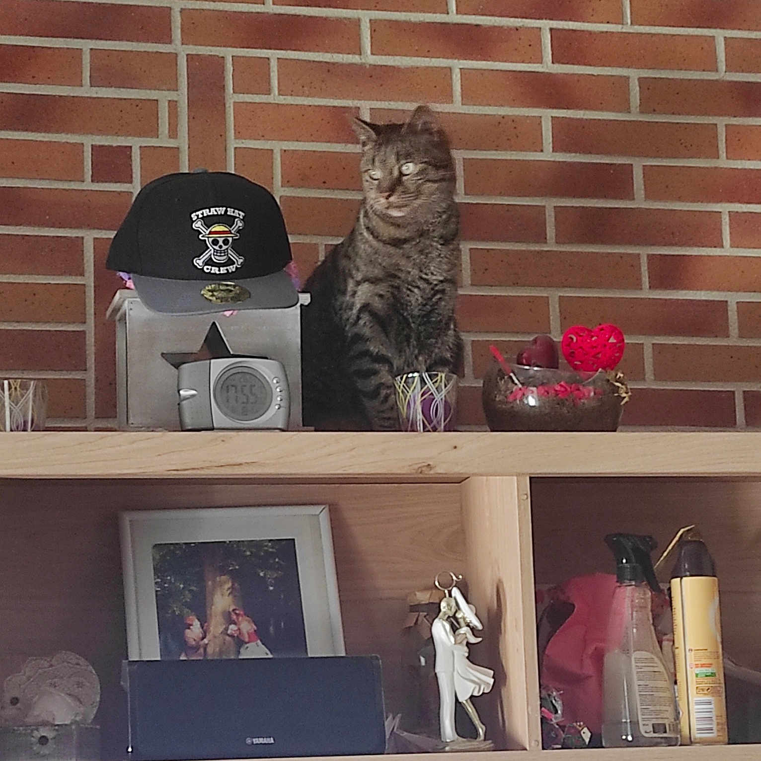 Mogwai