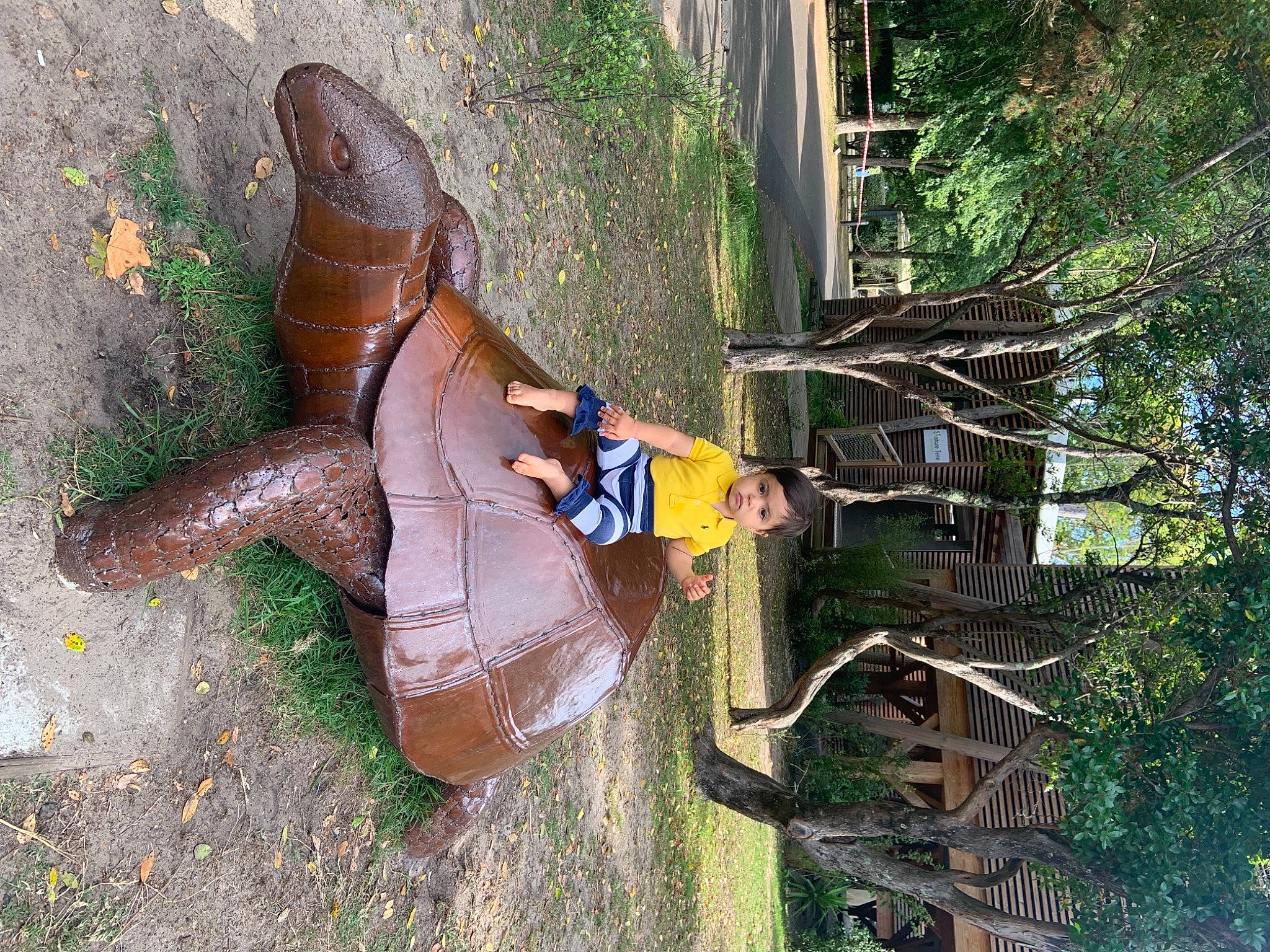 Klervi participe au concours pour gagner de l'argent avec cette photo : adaptation, art, boot, dress, elbow, foot, fun, grass, high_heels, human_leg, knee, leg, leisure, people_in_nature, person, plant, sandal, thigh, tree, trunk