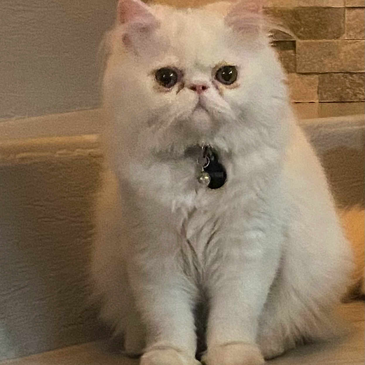 Yuki