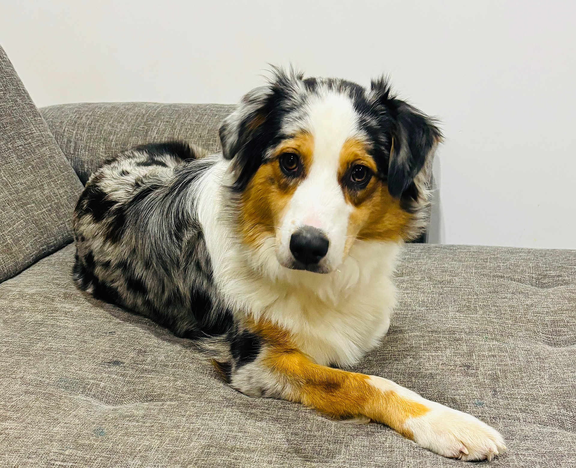 Naya