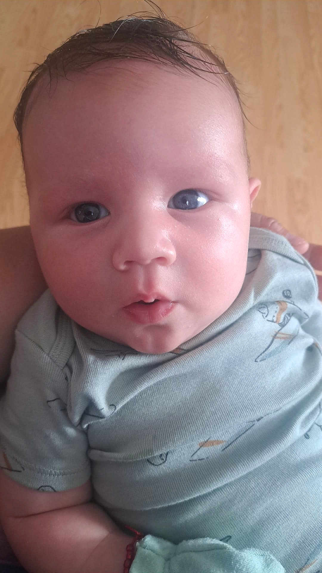 Jafhet Leon is registered to the contest to win money with this photo: baby, infant, face, blue_eyes, clothing, shirt, skin, expression, hand, arm, person, portrait, cute, newborn, young_child, indoors, closeup, apparel, babywear, curious