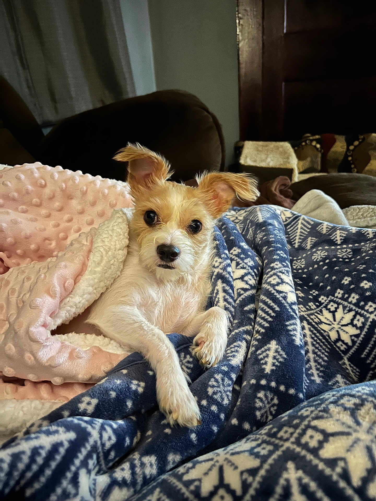 Zoey