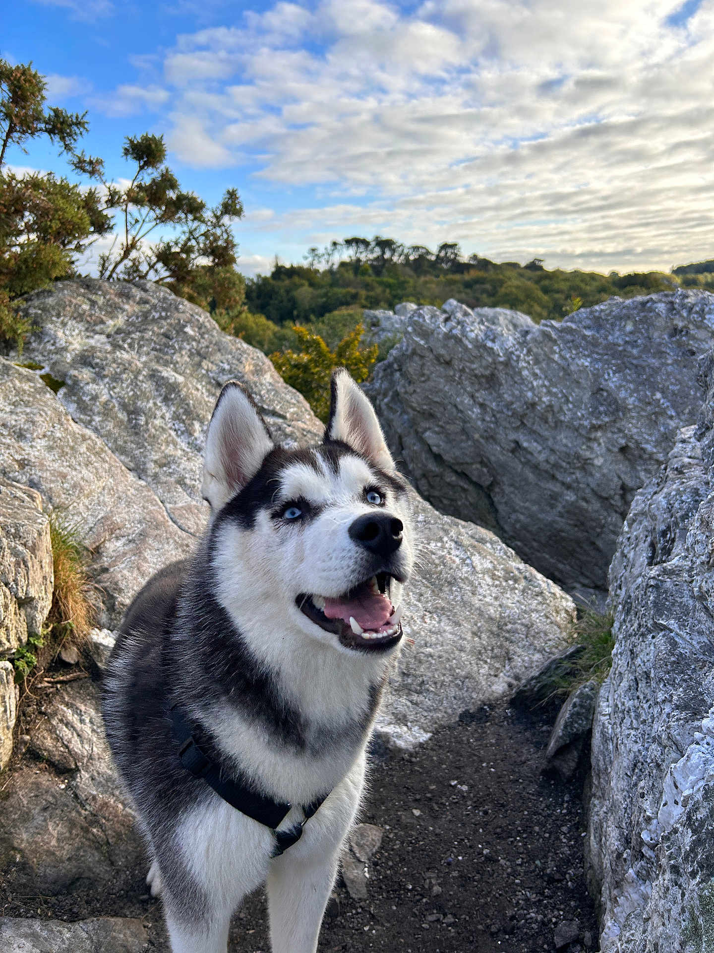 Atlas