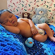 Legend is registered to the contest to win money with this photo: animal, baby, bed, bedroom, bird, blanket, cushion, face, furniture, head, homedecor, indoors, newborn, person, photography, portrait, quilt, sleeping, teddybear, toy