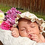 baby, sleeping, flower, bouquet, pink_flower, white_flower, bonnet, wooden_crate, blanket, grass, outdoor, peaceful, infant, face, hand, nature, portrait, relaxation, cute, garden