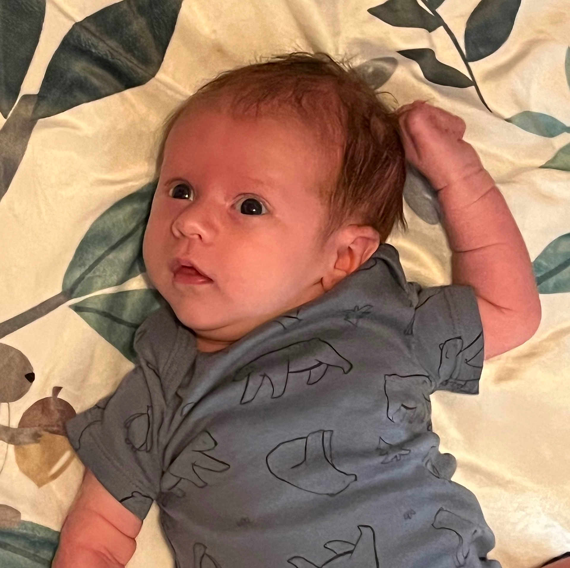 Allen joined the competition — help win amazing prizes! baby, infant, child, onesie, clothing, blanket, pattern, animal_print, face, skin, arm, hand, hair, lying_down, indoors, curious, expression, portrait, young, cute