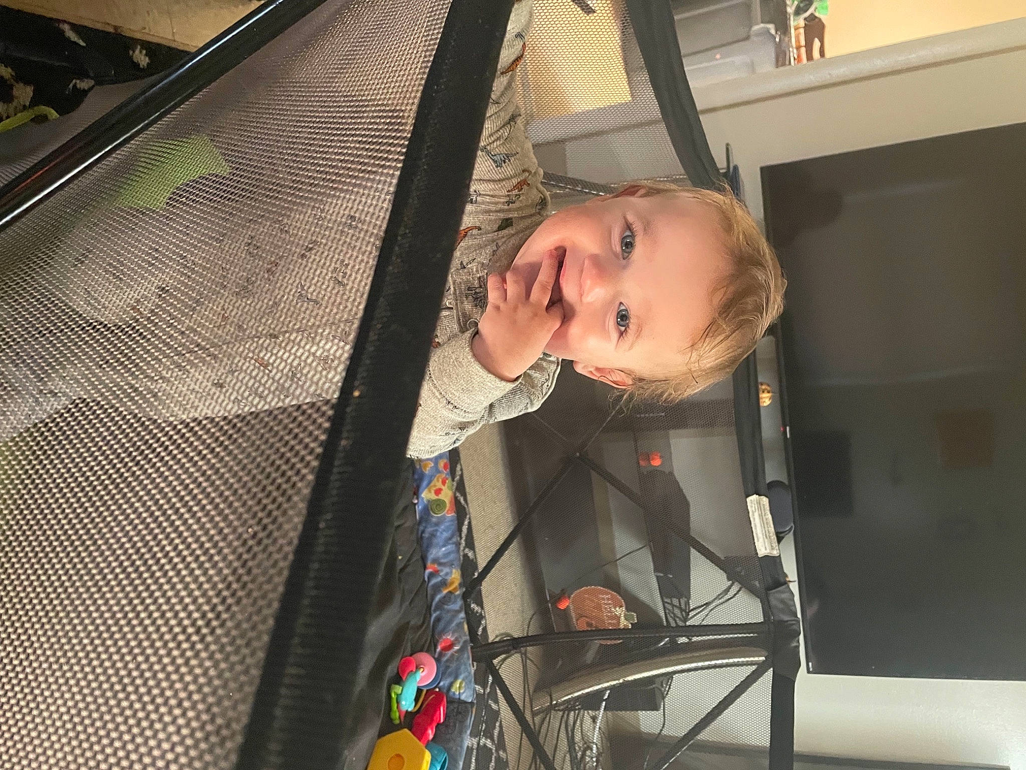 Zeke joined the competition — help win amazing prizes! audio_equipment, auto_part, automotive_design, automotive_exterior, automotive_lighting, automotive_window_part, baby, baby_carriage, baby_products, child, fun, infant_bed, iris, office_supplies, person, room, smile, toddler, vehicle_door, windshield