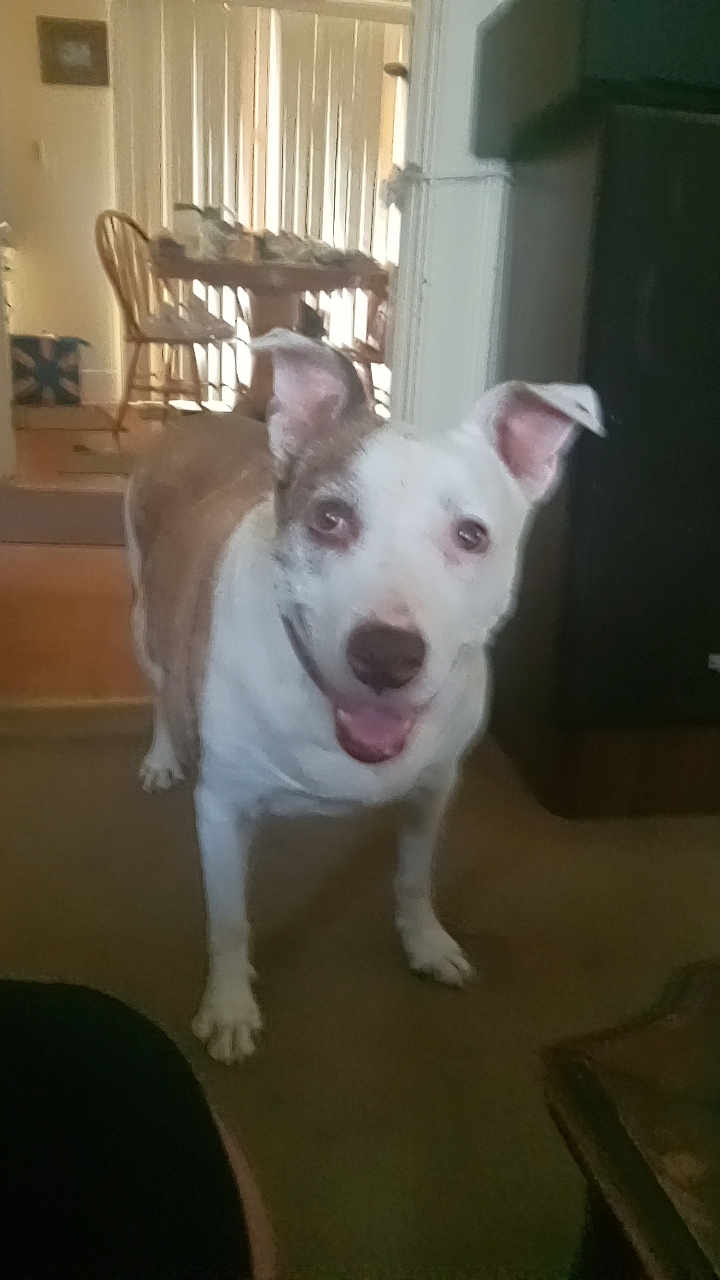 Sophie