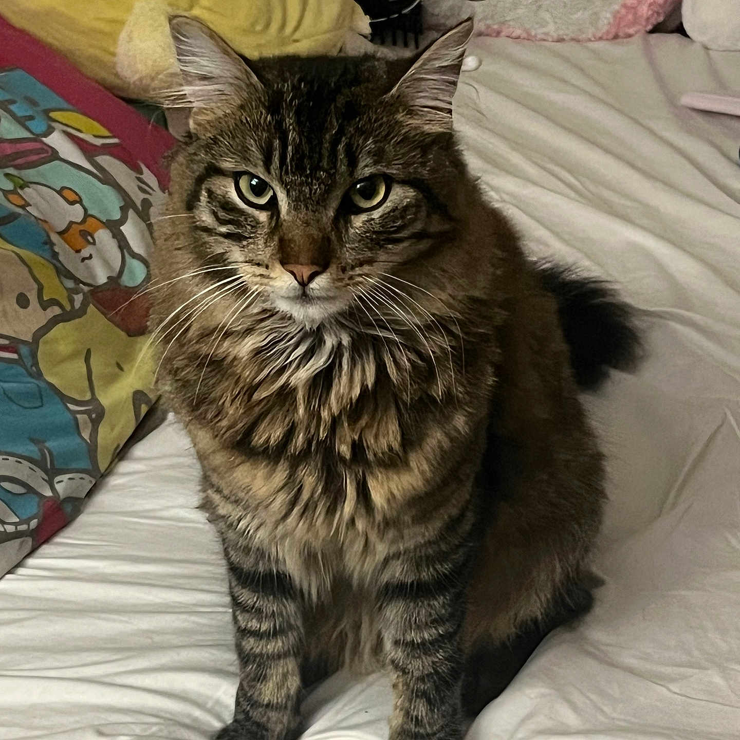 Prince