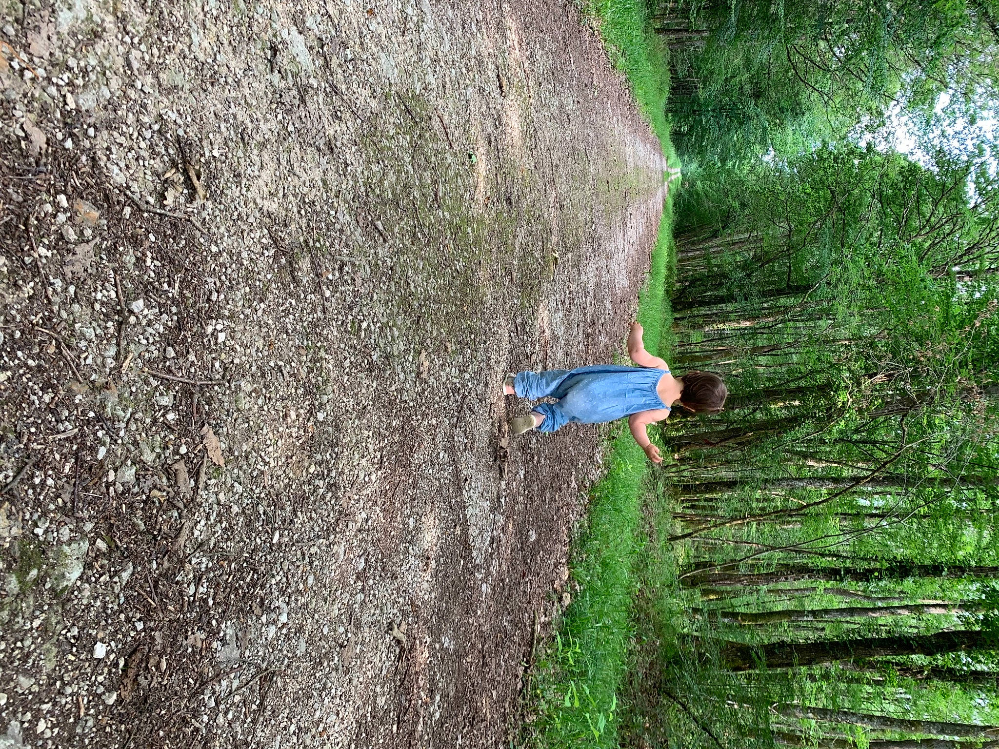 Diana participe au concours pour gagner de l'argent avec cette photo : adventure, bedrock, forest, grass, groundcover, landscape, leisure, natural_landscape, outcrop, people_in_nature, plant, recreation, rock, shrub, slope, soil, terrestrial_plant, tree, trunk, wood