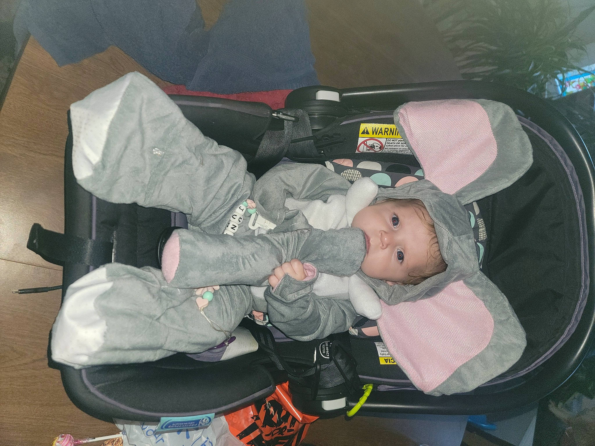 Juniper is registered to the contest to win money with this photo: auto_part, baby, baby_carriage, baby_products, baby_safety, baby_toddler_clothing, bag, baggage, car_seat, child, comfort, lap, luggage_and_bags, person, toddler