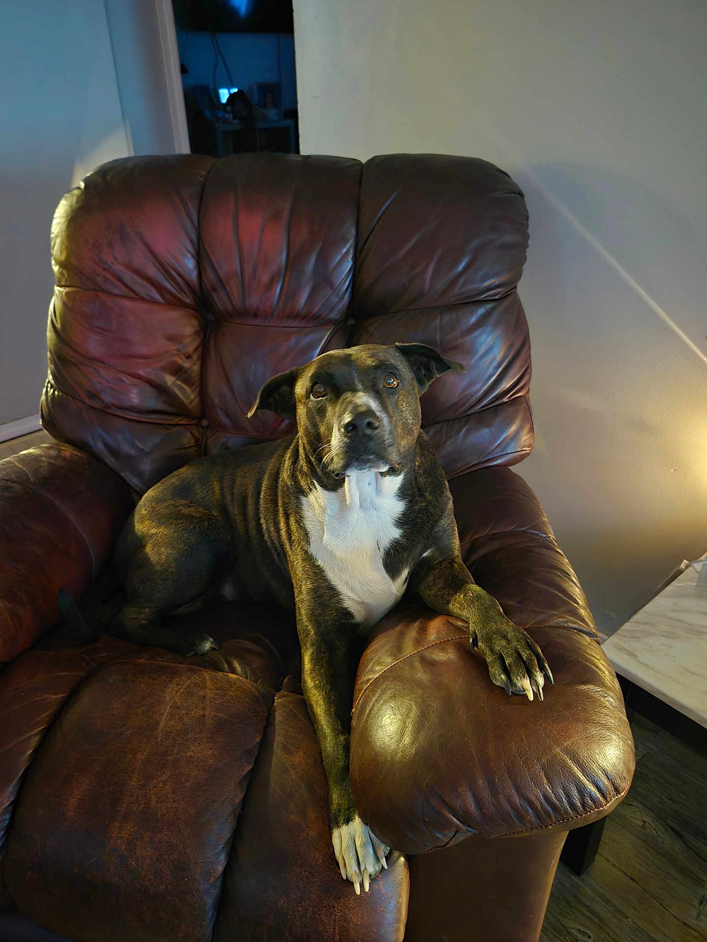 Gus